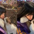 달달한 고양이 이미지