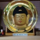 남구-116 네이버블로그