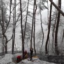 복합영농 이미지