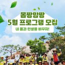 맘짱