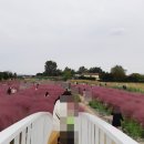 바람새마을 이미지