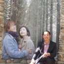 최종민 Daum카페