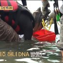 헤이 제주