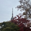 지에스25 남산조이점 | 남산 하늘숲길 가는 방법, 남산타워 가는 방법, 남산 단풍, 남산도서관 구내식당까지