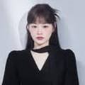 디온이프