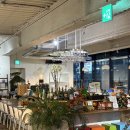 퓨전막창 | 레스토랑 추천: '가림소담' 파티룸 분위기, 지역 퓨전 신메뉴 (막창 파스타 &amp; 콘쉬림프 피자) 솔직 후기!