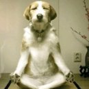 이화파크 이미지