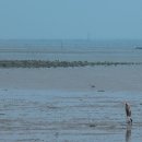 사구미해안도로 이미지