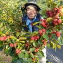 송간농장 이미지