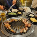 도시 강아지 | [충북 혁신도시 맛집]강아지와 함께 다녀온 내돈내산 부엉이바베큐 후기