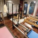 DH웰리스 이미지