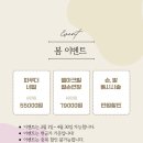 네일보소