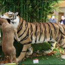 노원구청 이미지