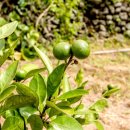 허브인휴양펜션 이미지