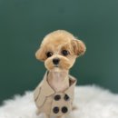 더 이쁘개 이미지