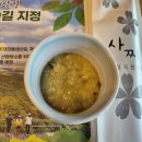 도룡동 초밥 사찌 대전 부모님 식사 맛집 생신 식당