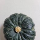 둥근세상