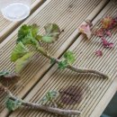 청수정가든 이미지