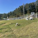 서울개공원 이미지