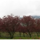 만연스크랩 이미지