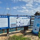 서우봉해변(관리사무소동쪽) | [제주여행] 제주 동쪽 돌 아기랑 가볼만한 곳 (#1 관광지편) 유아차, 수유실, 입장료 정보有