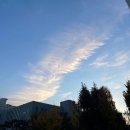 황해수육 부천상동점 이미지