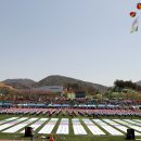 하동공설운동장 이미지