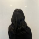 루시헤어 이미지