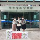 평화양로원 이미지