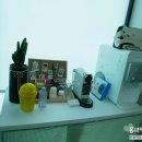 술정중앙길 이미지