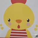 디캣 | 신촌 랙돌 고양이 카페 디캣 후기 🐱 인형 같은 개냥이와 힐링타임