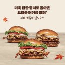 머쉬룸