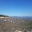 유주라이크 | [부산 해운대] 유주라이크 솔직후기(연어,아보카도)