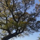 북평 달량진성 이미지