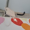 신덕초등학교 이미지