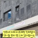 리프패럿진해점