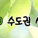 08/02(일) 닥터루멘[혜인대장님] 이미지