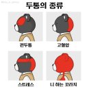 까사 후동 | 글루미썬데이