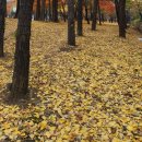 한라컨설팅공인중개사사무소 이미지