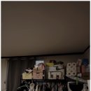개인화물376 | 이사 스트레스 줄여준 선택, 처음부터 끝까지 믿고 맡길 수 있었던 이사 플랫폼 이사대학 후기