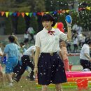 활공농장 이미지