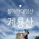 계룡산동학사스타 | 계단천국 사람살려🤪🤮 7월 계룡산 등산후기