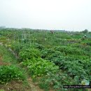 정감농장 이미지