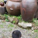 레인보우카센타