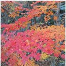 예전 행정사 사무소 이미지