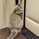보라네민박