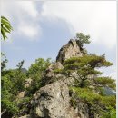 옥계리 팔각산장 앞 | 영덕,팔각산(2014.6.14)