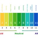 세차의정석 이미지