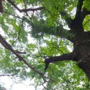 인공암벽장 화장실 이미지