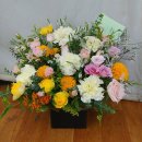 조이안과의원 이미지